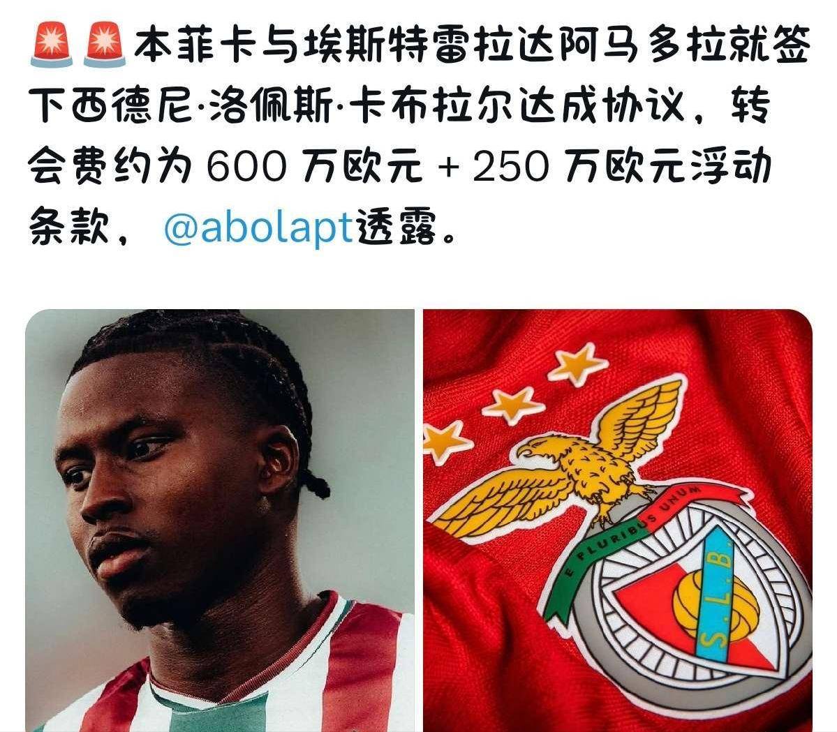 关于转会期本菲卡备战NBA总决赛，篮板制胜细节曝光，态度坚定，赛程密集仍需轮换的信息